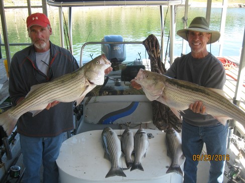 Nice Striped Bass